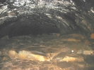 PICTURES/Lava River Cave/t_Inside Cave3.JPG